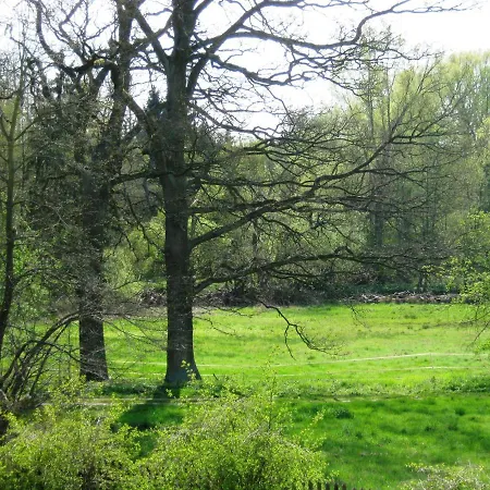 Fewo - Heidestrasse 5